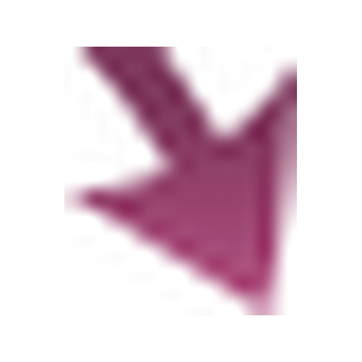 FetishGalaxy logo